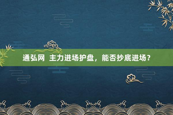 通弘网  主力进场护盘，能否抄底进场？