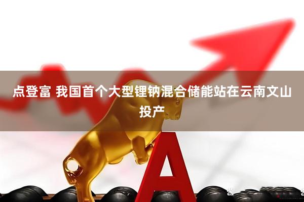 点登富 我国首个大型锂钠混合储能站在云南文山投产