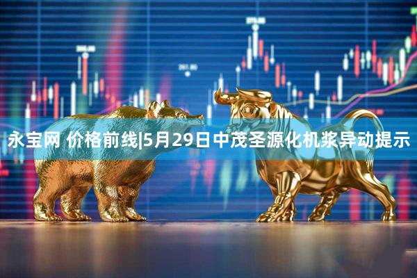 永宝网 价格前线|5月29日中茂圣源化机浆异动提示