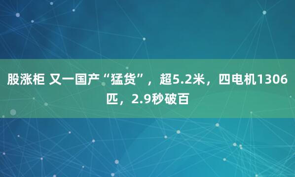 股涨柜 又一国产“猛货”，超5.2米，四电机1306匹，2.9秒破百