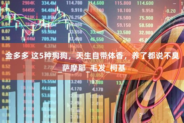 金多多 这5种狗狗，天生自带体香，养了都说不臭_萨摩耶_毛发_柯基