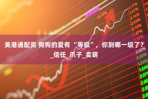 美港通配资 狗狗的爱有 “等级”，你到哪一级了？_信任_爪子_卖萌