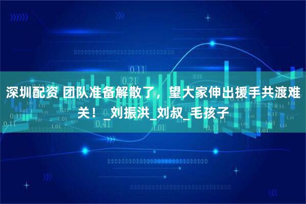 深圳配资 团队准备解散了，望大家伸出援手共渡难关！_刘振洪_刘叔_毛孩子