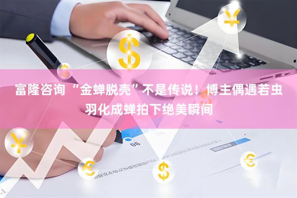 富隆咨询 “金蝉脱壳”不是传说！博主偶遇若虫羽化成蝉拍下绝美瞬间