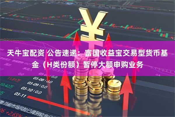 天牛宝配资 公告速递：富国收益宝交易型货币基金（H类份额）暂停大额申购业务