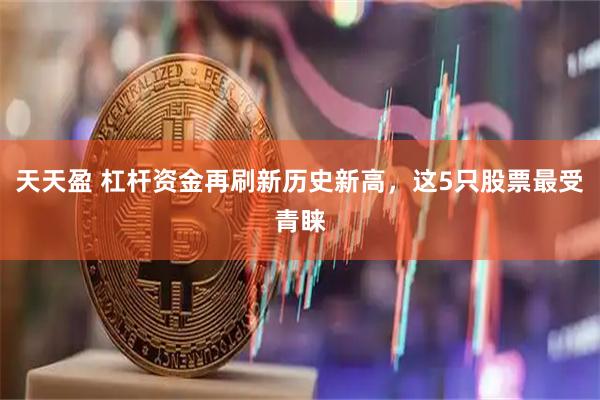 天天盈 杠杆资金再刷新历史新高，这5只股票最受青睐