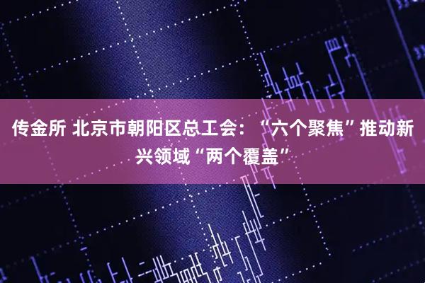 传金所 北京市朝阳区总工会：“六个聚焦”推动新兴领域“两个覆盖”