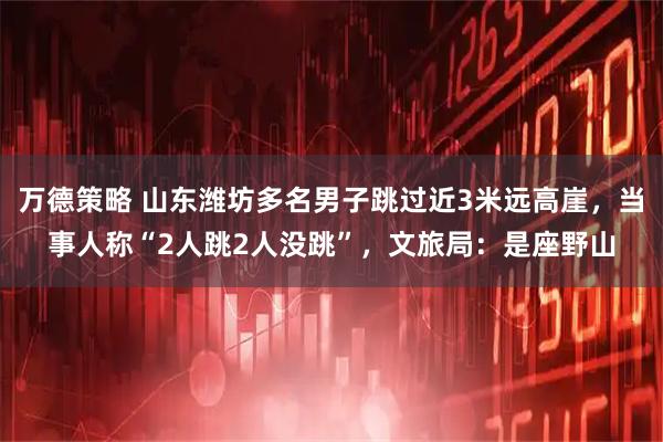 万德策略 山东潍坊多名男子跳过近3米远高崖,当事人称“2人跳2人没跳”,文旅局:是座野山