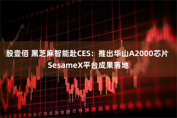 股壹佰 黑芝麻智能赴CES:推出华山A2000芯片 SesameX平台成果落地