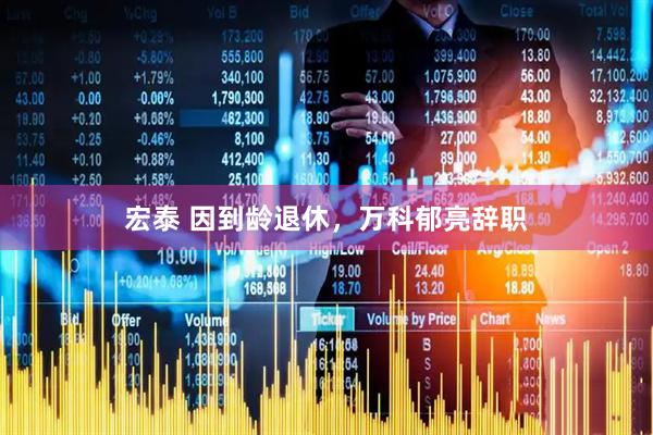 宏泰 因到龄退休,万科郁亮辞职