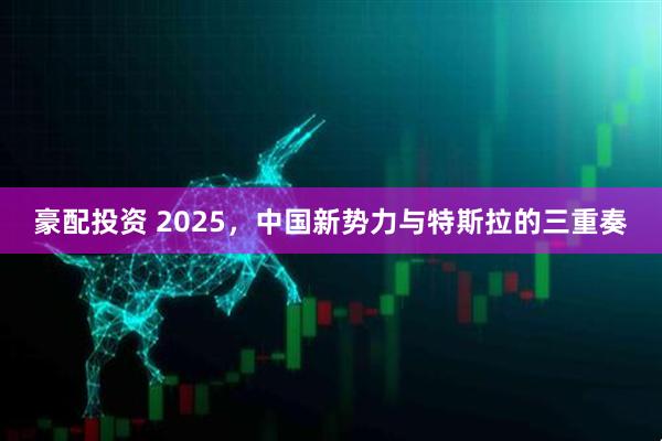 豪配投资 2025，中国新势力与特斯拉的三重奏