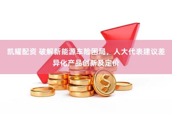 凯耀配资 破解新能源车险困局，人大代表建议差异化产品创新及定价